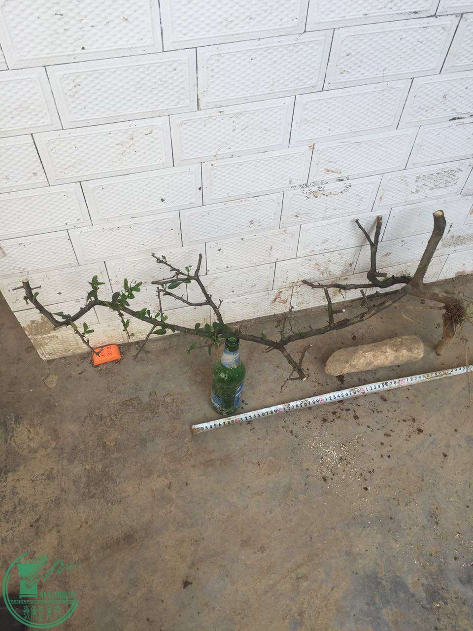 58.jpg