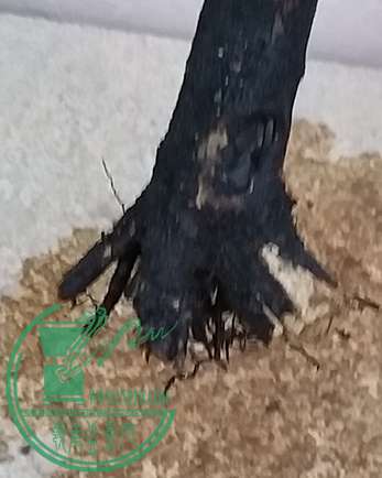 20170413_183804_mh1492081618881.jpg