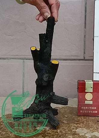 20170413_183706_mh1492081552149.jpg