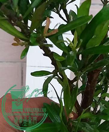 20170413_183409_mh1492081423469.jpg
