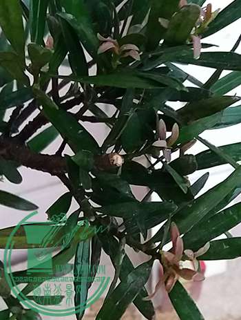 20170413_183333_mh1492081330506.jpg