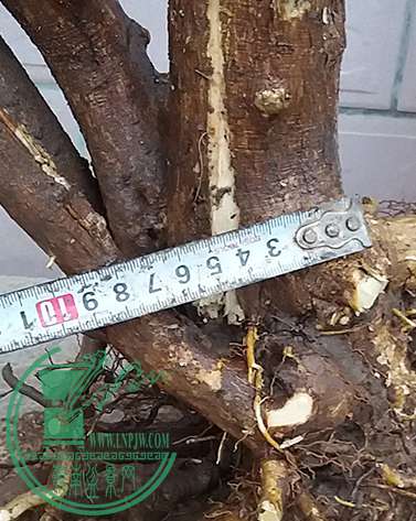 20170413_183131_mh1492081233741.jpg