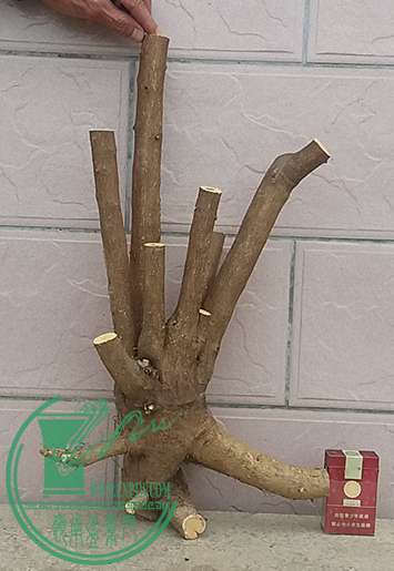 20170414_091338_mh1492133394753.jpg