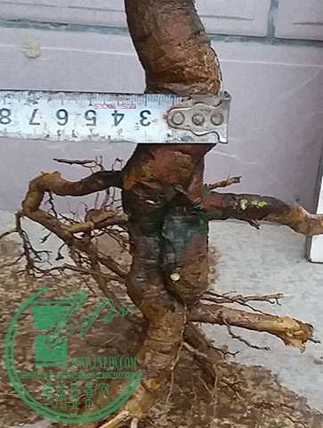 20170414_182639_mh1492168050917.jpg
