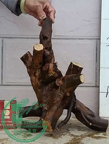 20170414_182042_mh1492167702834.jpg
