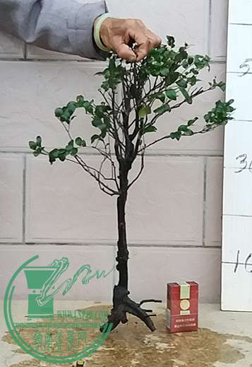 20170414_183010_mh1492168217287.jpg