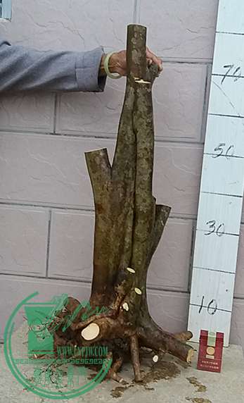 20170414_182001_mh1492167662585.jpg