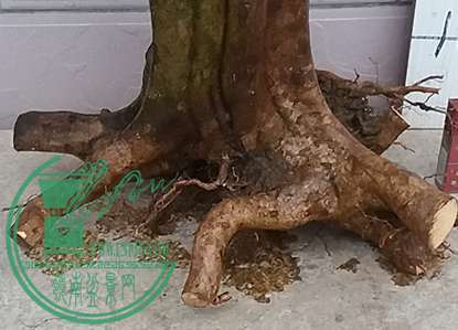 20170414_181918_mh1492167614487.jpg