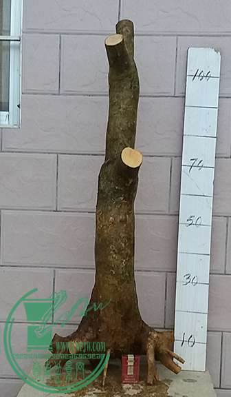 20170414_182337_mh1492167863437.jpg
