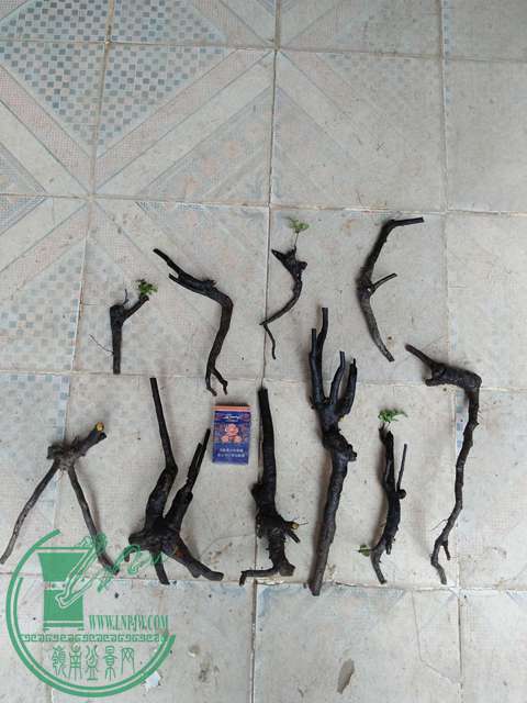 IMG20170414100747.jpg