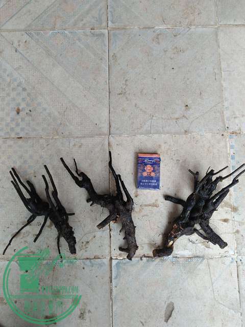 IMG20170414101017.jpg