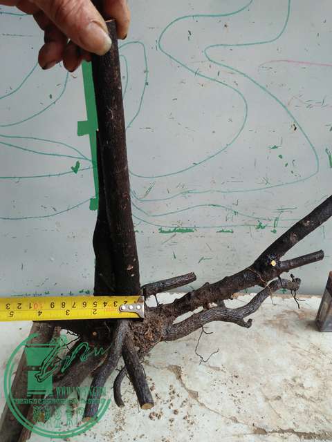 IMG20170414101739.jpg
