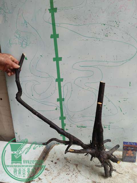 IMG20170414101753.jpg