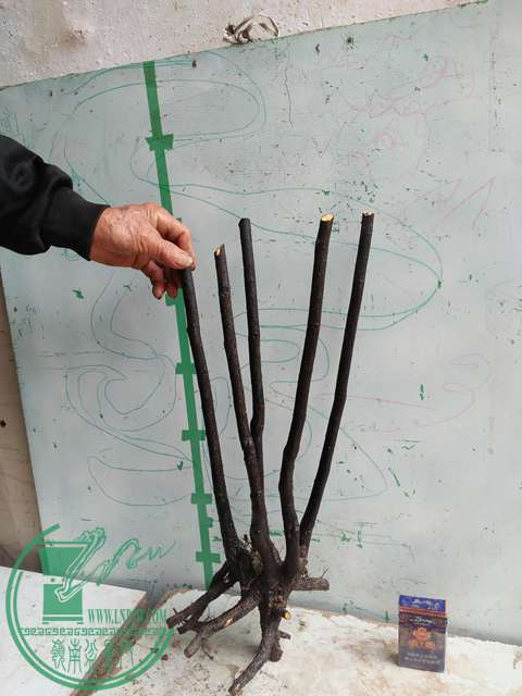 IMG20170414101834.jpg