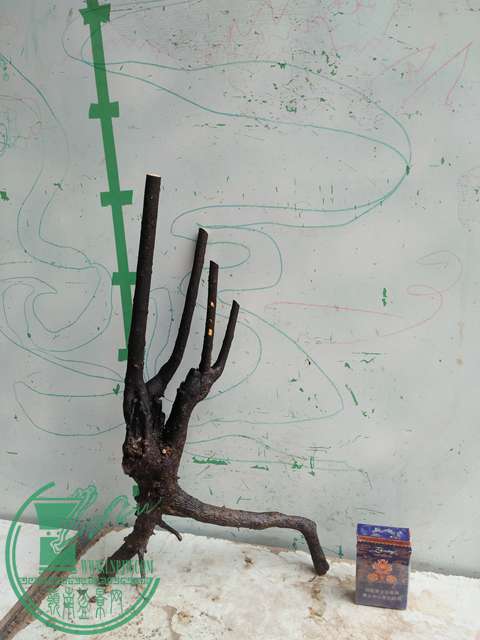 IMG20170414102004.jpg