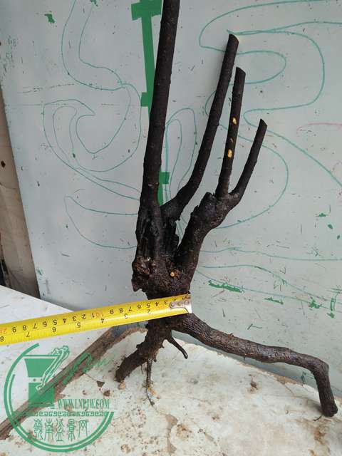 IMG20170414102010.jpg