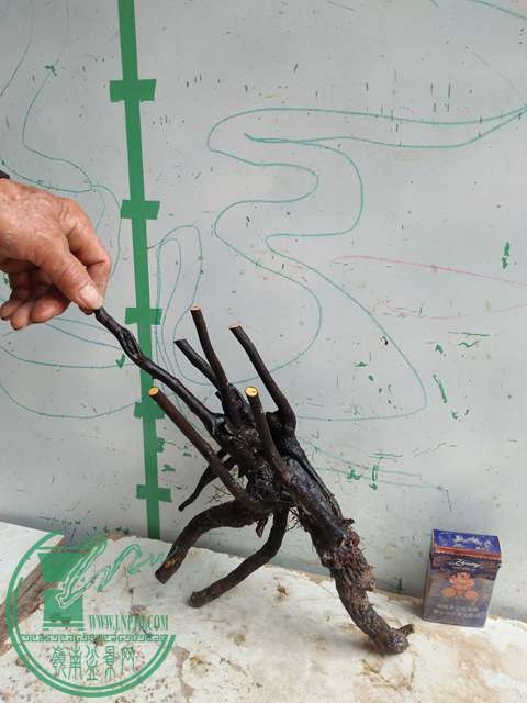 IMG20170414102035.jpg