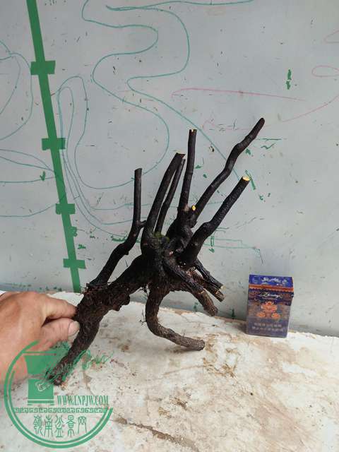 IMG20170414102054.jpg
