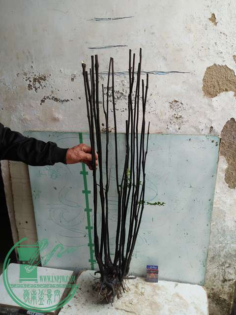 IMG20170414102323.jpg