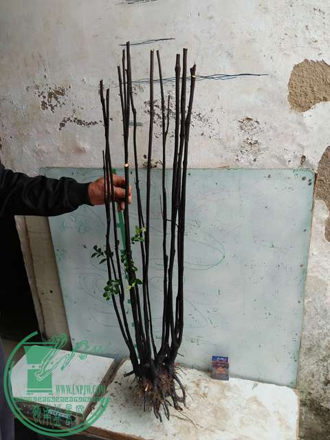 IMG20170414102340.jpg