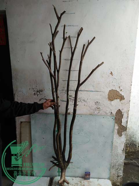 IMG20170414102537.jpg