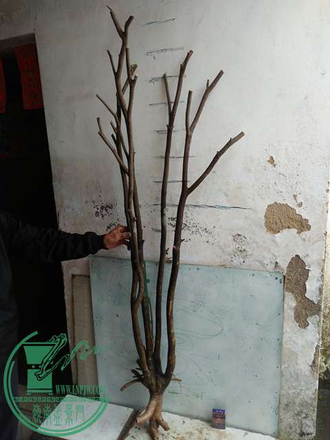 IMG20170414102544.jpg
