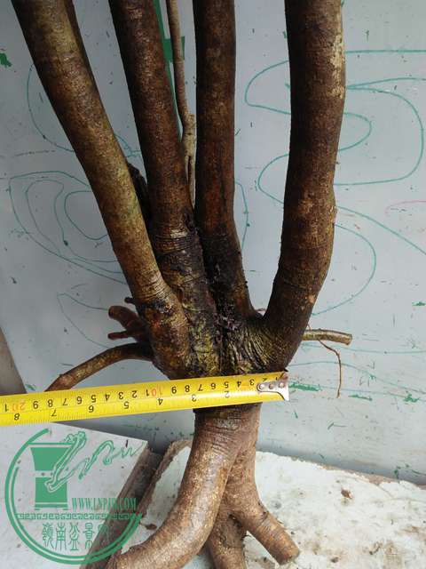 IMG20170414102549.jpg