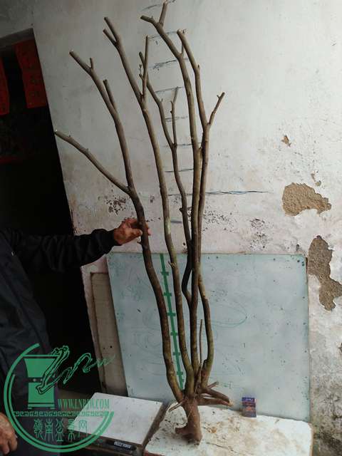 IMG20170414102600.jpg