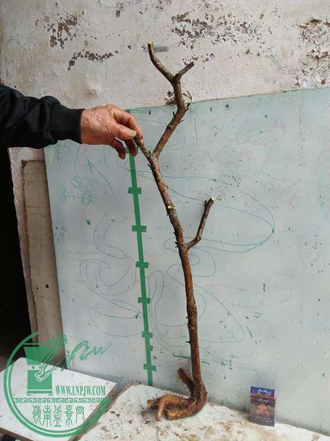 IMG20170414102710.jpg
