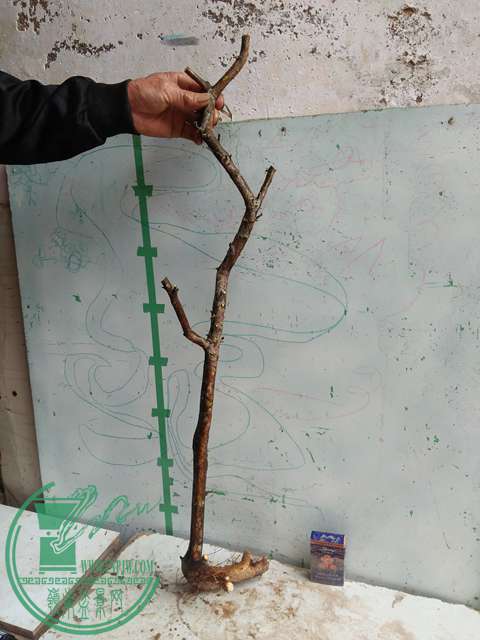 IMG20170414102723.jpg