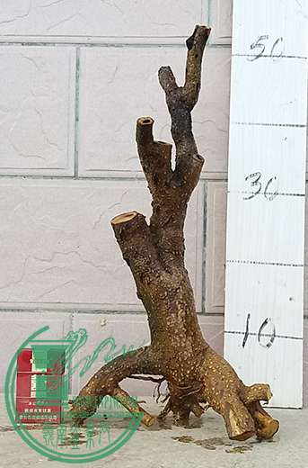 20170415_174602_mh1492254888851.jpg