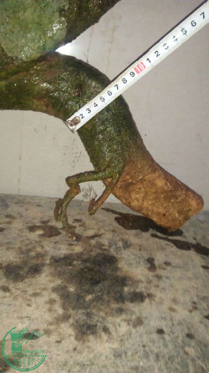 QQͼƬ20170415204021.jpg
