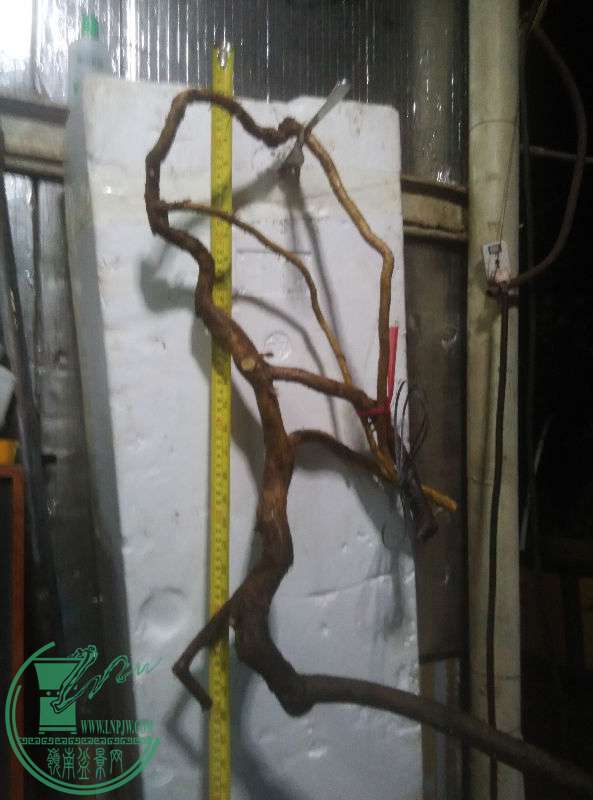 880554