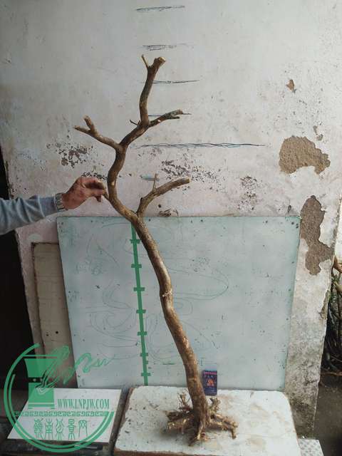IMG20170415102920.jpg