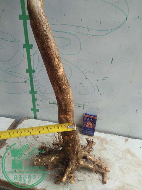 IMG20170415102924.jpg