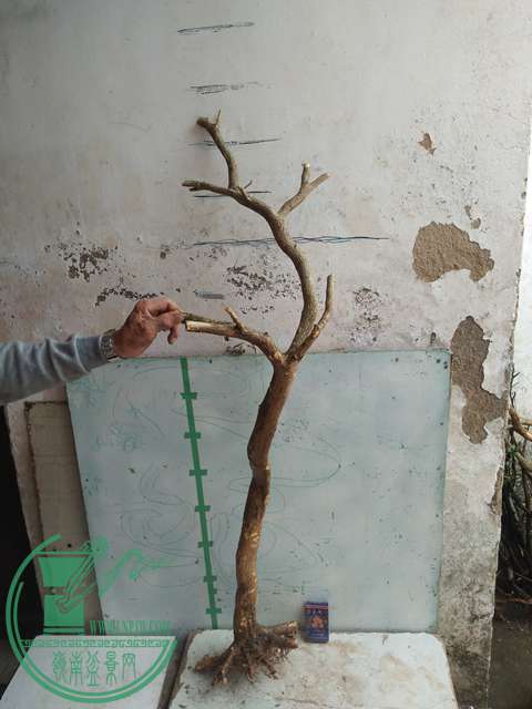 IMG20170415102935.jpg