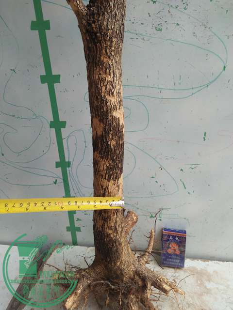 IMG20170415103003.jpg