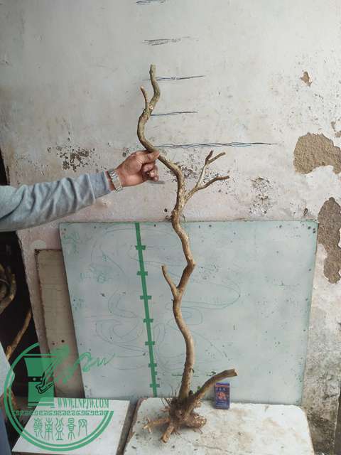 IMG20170415103043.jpg