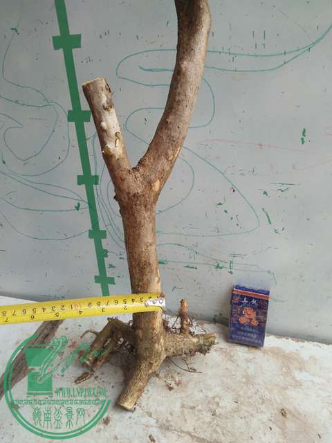 IMG20170415103127.jpg