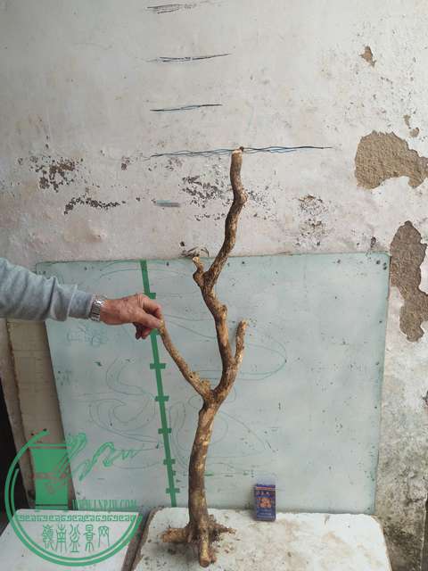 IMG20170415103152.jpg