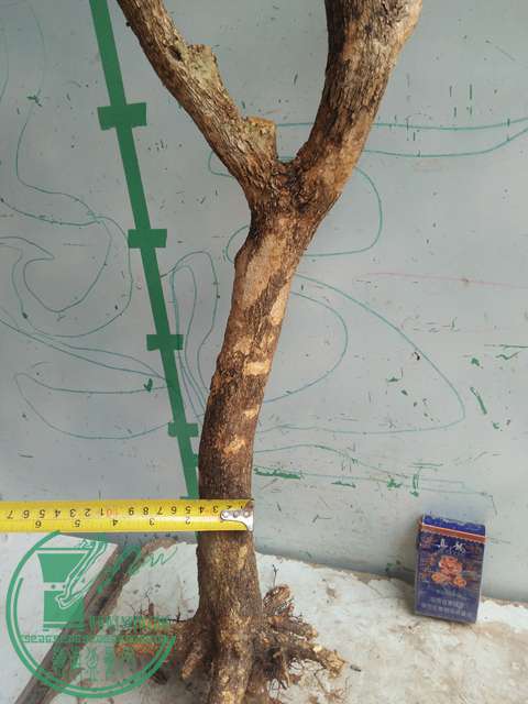 IMG20170415103156.jpg