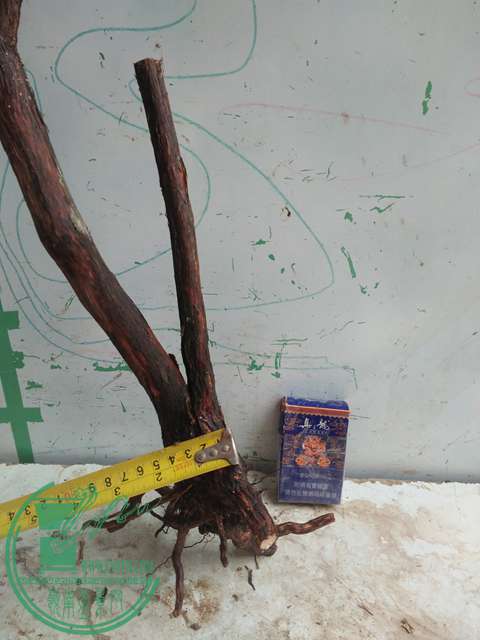 IMG20170415104129.jpg