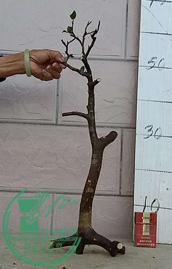 20170416_183534_mh1492341843888.jpg