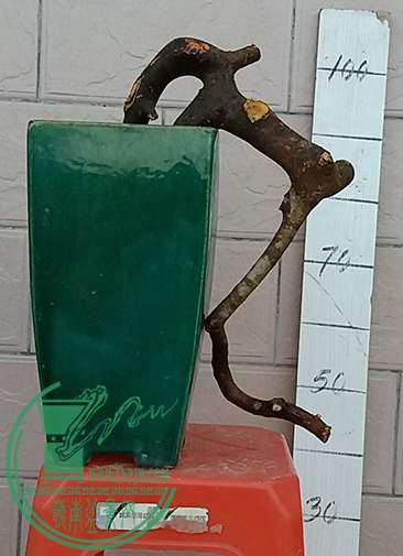 20170416_184634_mh1492342329224.jpg