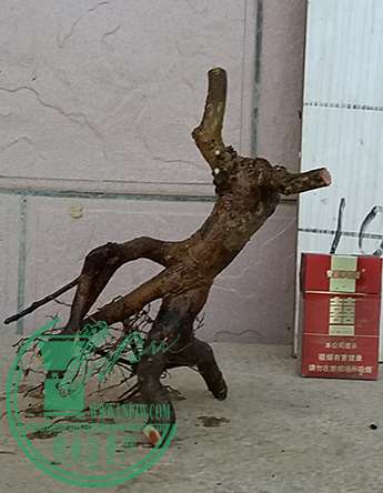 20170416_183631_mh1492341944497.jpg