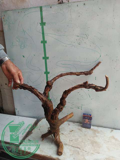 IMG20170416124555.jpg