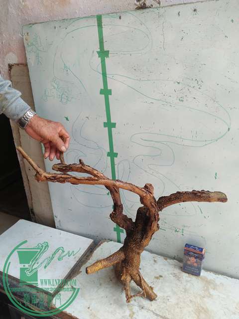IMG20170416124609.jpg