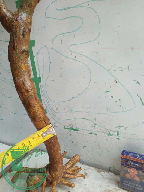 IMG20170416124627.jpg