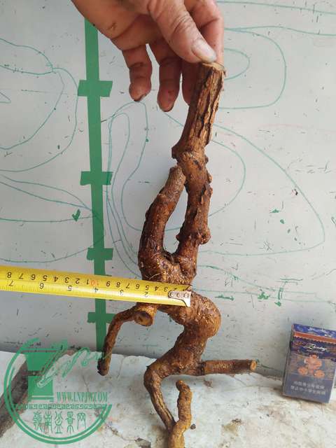 IMG20170416124647.jpg