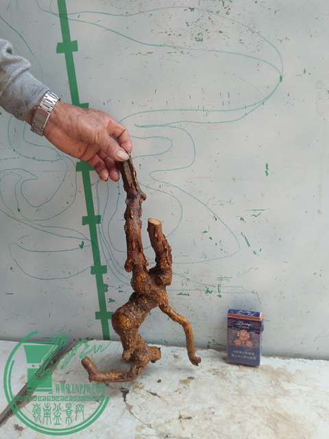 IMG20170416124651.jpg